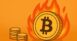 ما هو الحرق في العملات الرقمية ولماذا يحدث؟