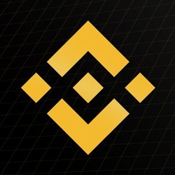 Binance Logo